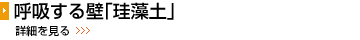 ċzǁu]yv